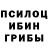 Псилоцибиновые грибы Psilocybine cubensis Danil Tronin