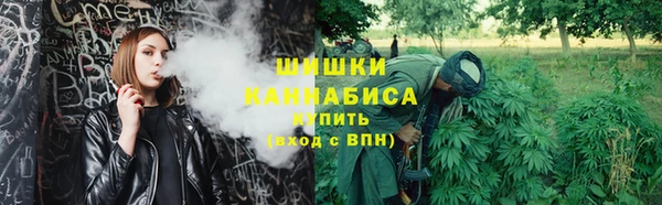 крисы Абдулино